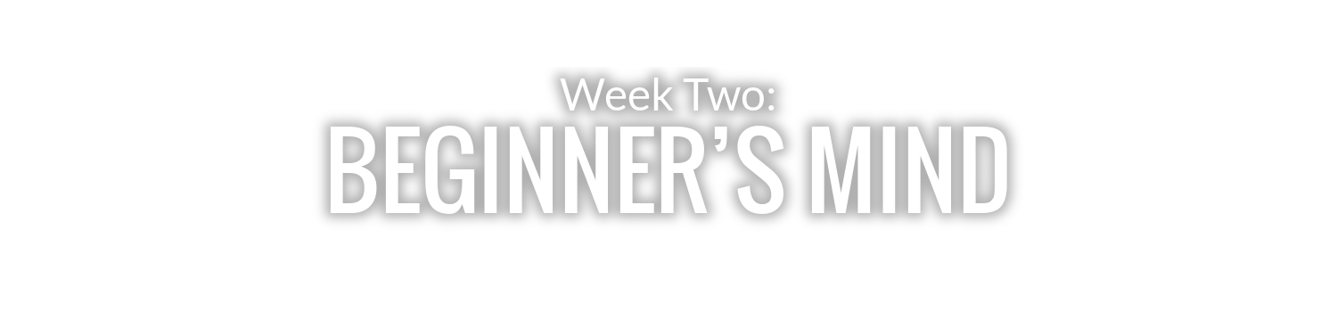 WEEK 2: BEGINNER’S MIND