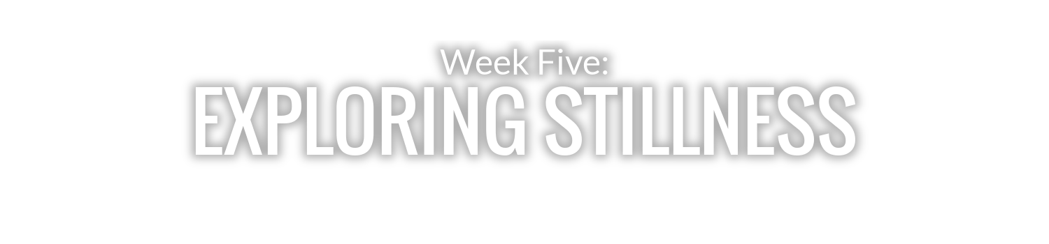 WEEK 5: EXPLORING STILLNESS