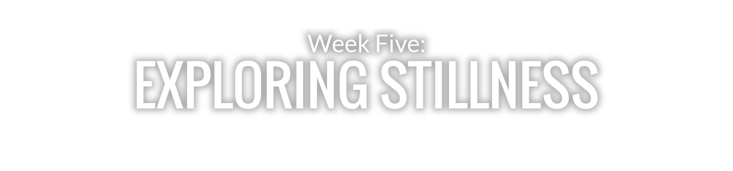 WEEK 5: EXPLORING STILLNESS